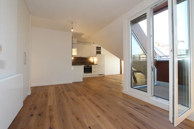 Neuwertiges - Dachgeschoss, ruhige Südloggia, voll ausgestattete Luxus - Einbauküche mit Wannenbad — photo 1